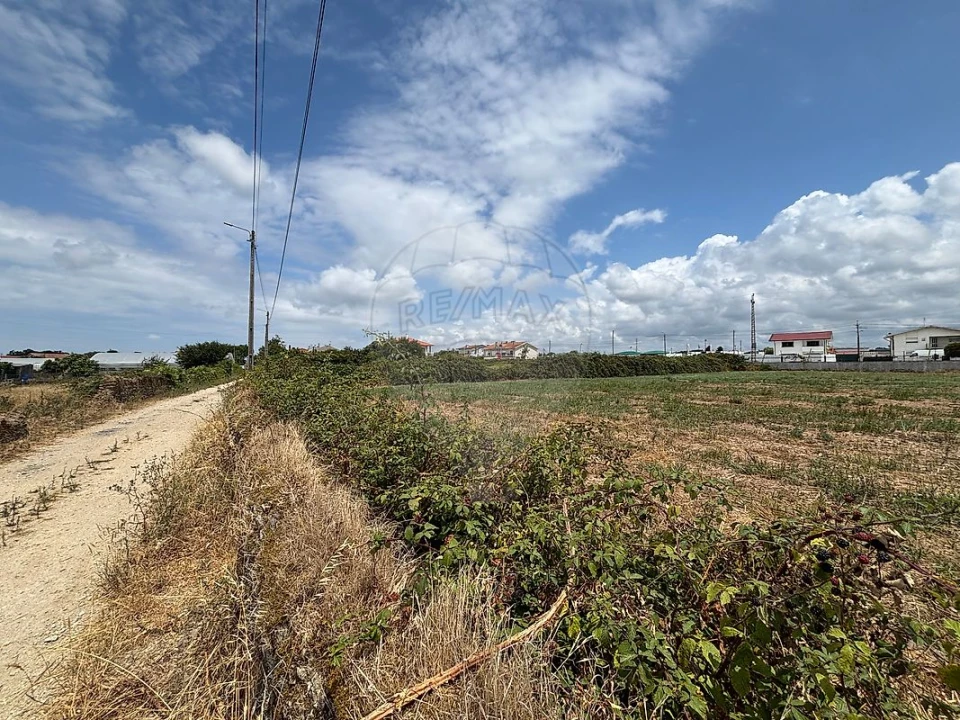 Terreno para Venda em Ovar, São João, Arada e São Vicente de Pereira Jusã Foto 12