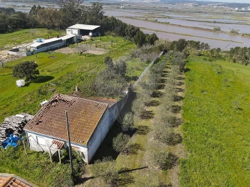 Moradia T1 para Venda em Alqueidão