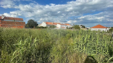 Terreno para Venda em Pinhal Novo
