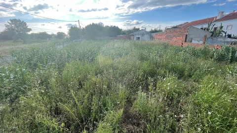 Terreno para Venda em Pinhal Novo