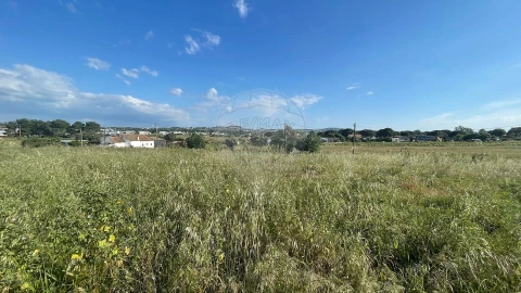 Terreno para Venda em Pinhal Novo