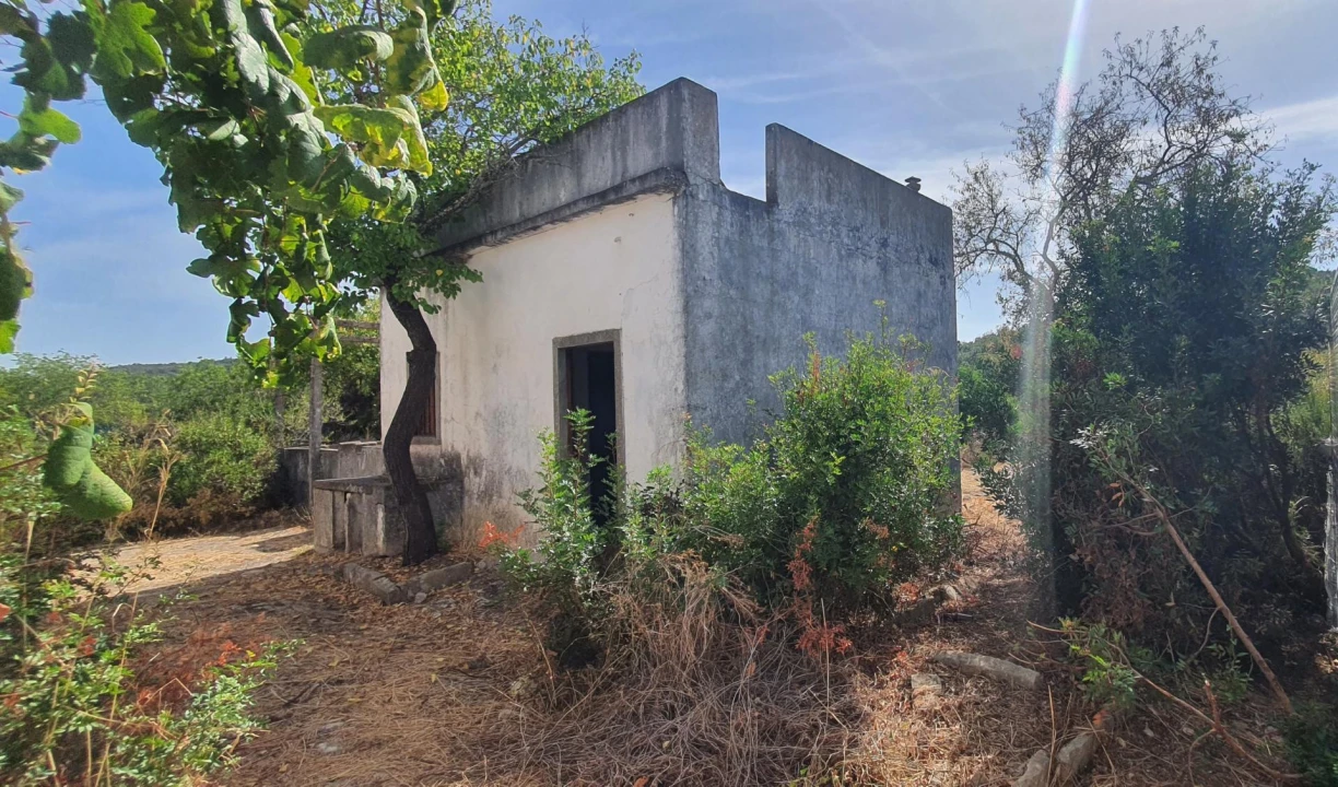 Moradia T4 para Venda em Loule (São Clemente) Foto 3