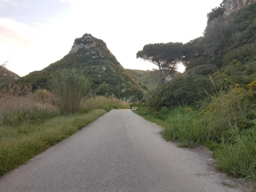 Terreno para Venda em Ribamar