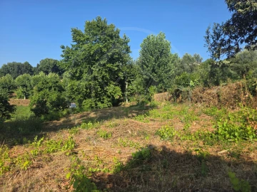 Terreno para Venda em Salvador e Santo Aleixo de Além-Tâmega