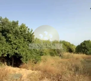 Terreno para Venda em Loule (São Clemente)