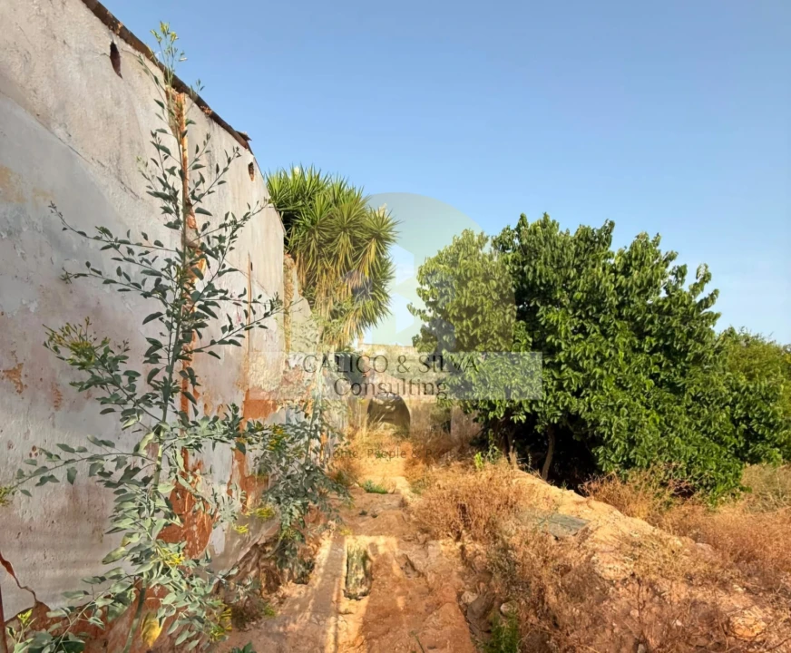 Terreno para Venda em Loule (São Clemente) Foto 6