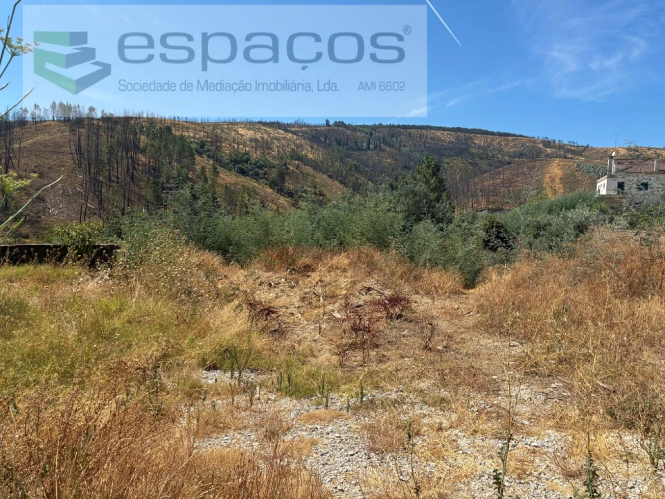 Terreno para Venda em Silvares Foto 2
