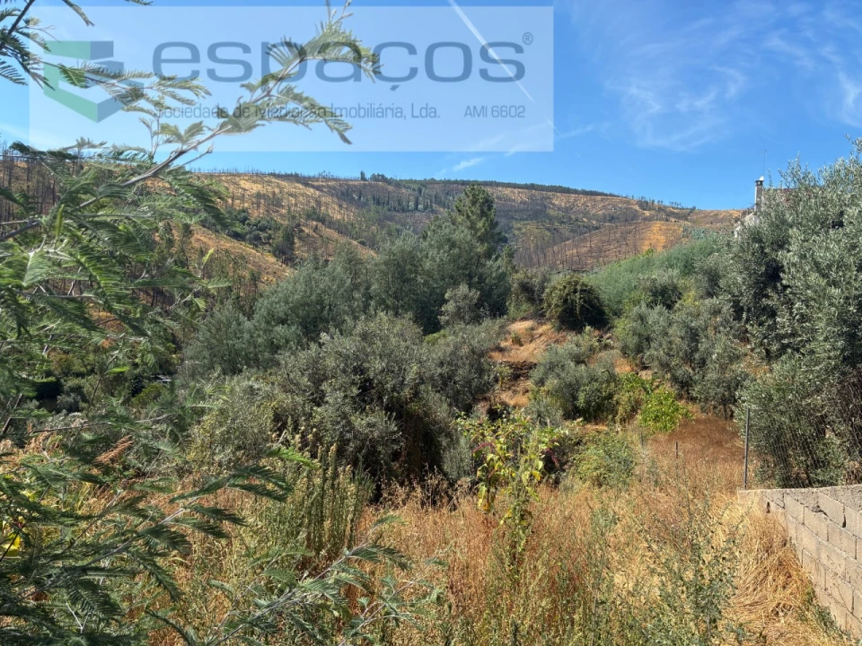 Terreno para Venda em Silvares Foto 6