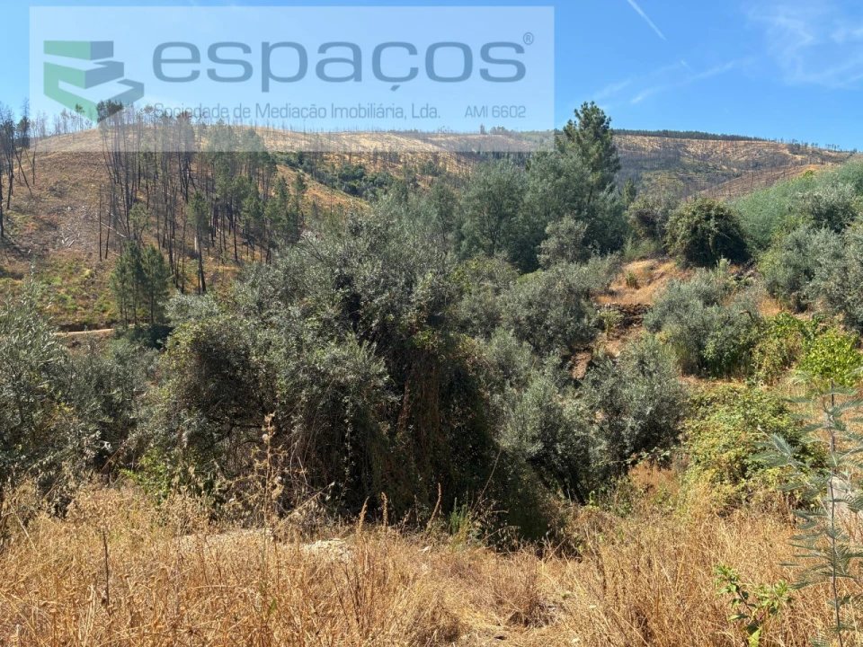 Terreno para Venda em Silvares Foto 8