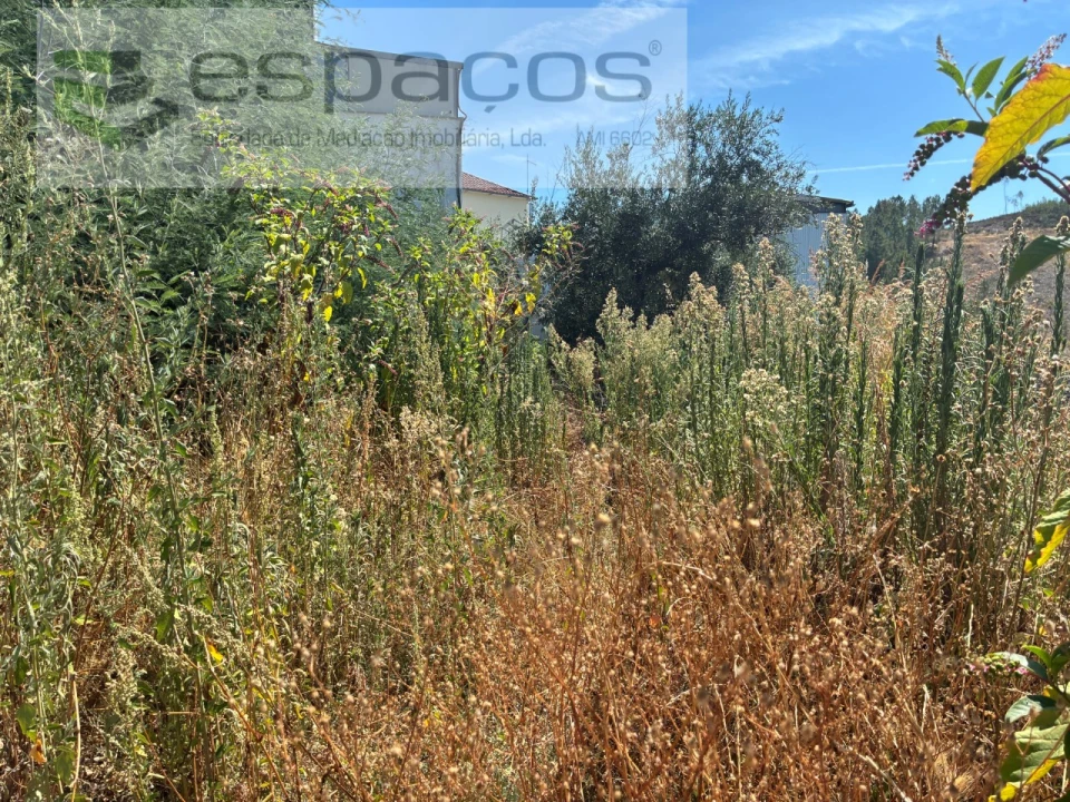 Terreno para Venda em Silvares Foto 9