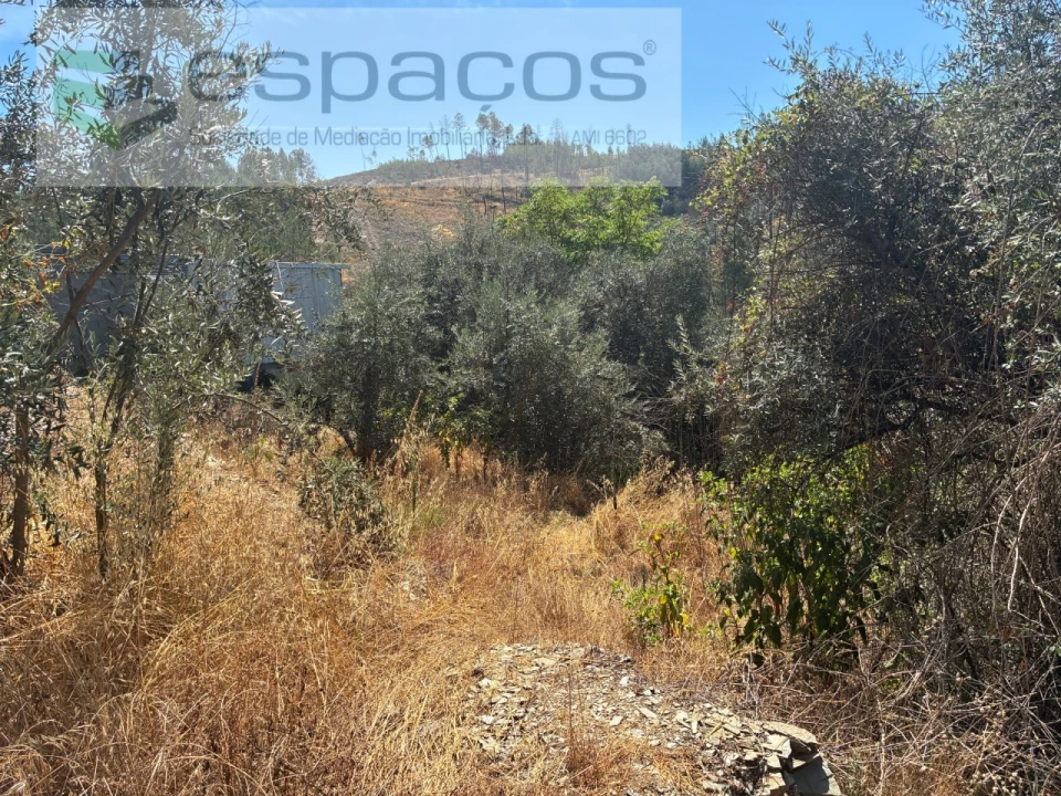 Terreno para Venda em Silvares Foto 14