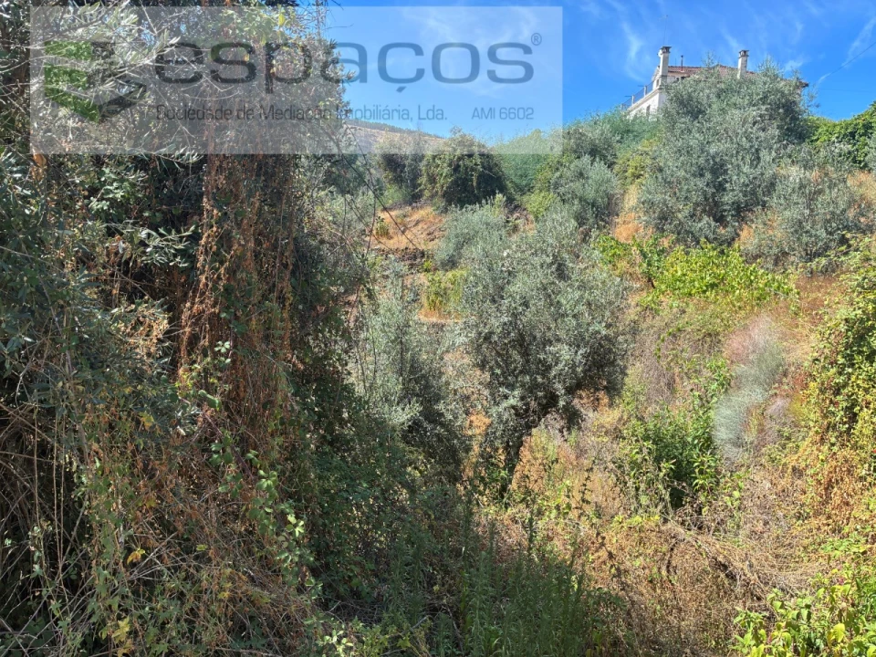 Terreno para Venda em Silvares Foto 15