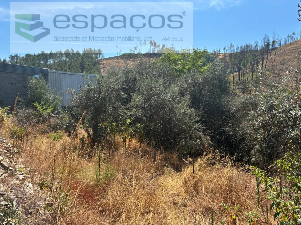 Terreno para Venda em Silvares Foto 16