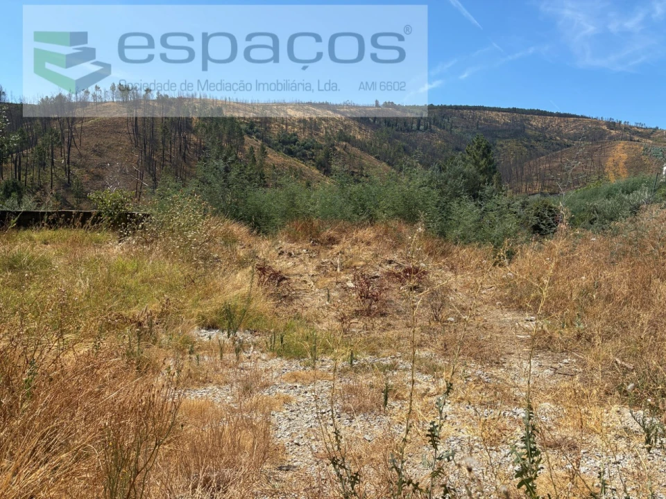 Terreno para Venda em Silvares Foto 19