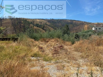 Terreno para Venda em Silvares