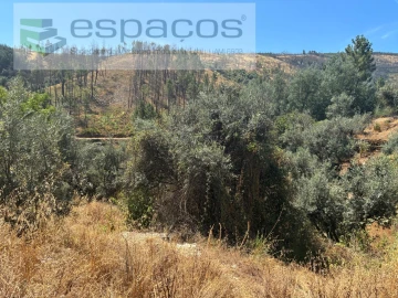 Terreno para Venda em Silvares