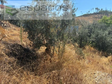 Terreno para Venda em Silvares
