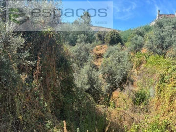 Terreno para Venda em Silvares