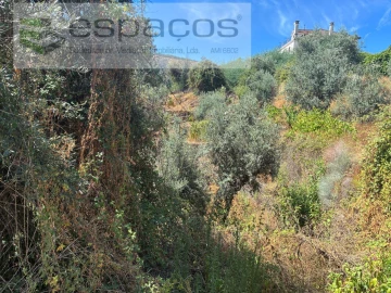 Terreno para Venda em Silvares