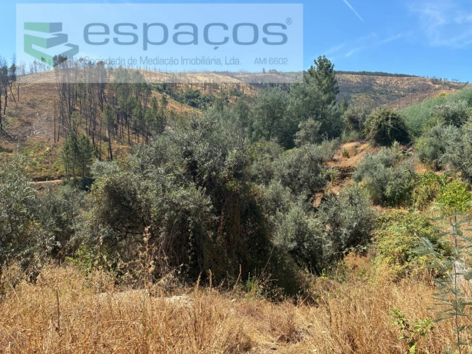 Terreno para Venda em Silvares Foto 8