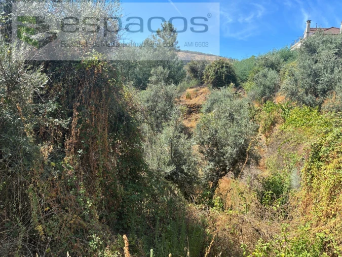 Terreno para Venda em Silvares Foto 12