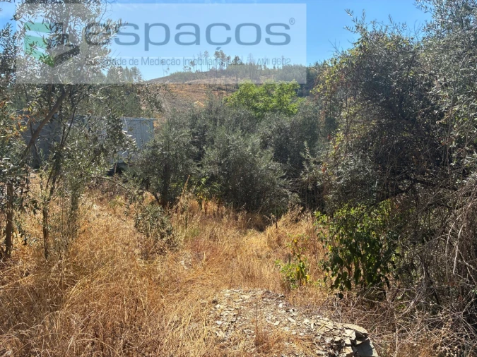 Terreno para Venda em Silvares Foto 14