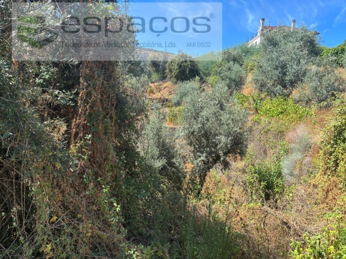 Terreno para Venda em Silvares Foto 15