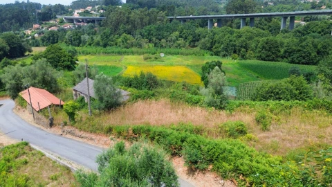 Terreno para Venda em Rebordões (Souto)