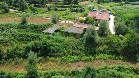 Terreno para Venda em Rebordões (Souto)