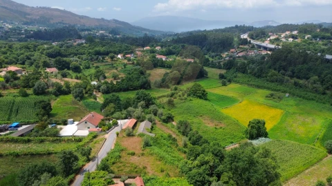 Terreno para Venda em Rebordões (Souto)