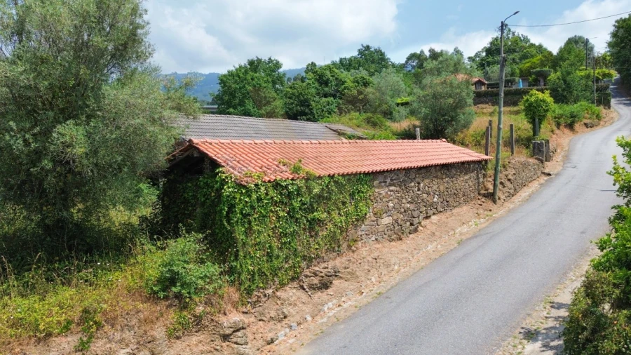 Terreno para Venda em Rebordões (Souto) Foto 3
