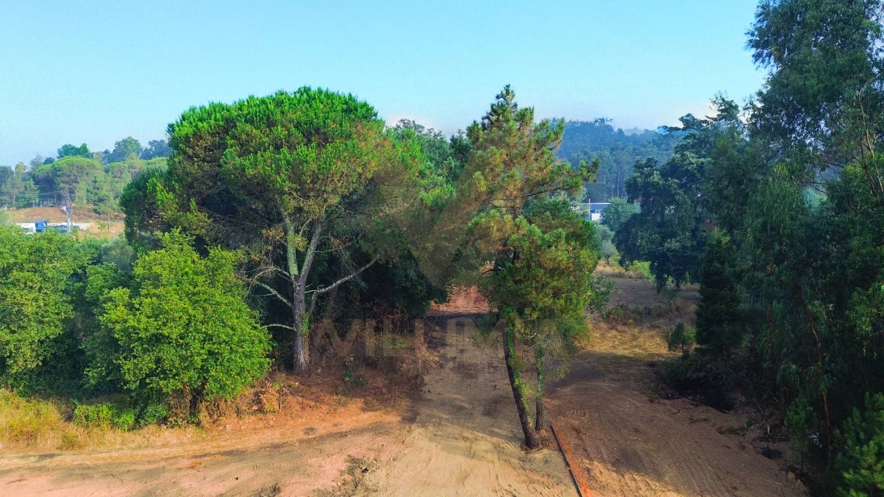 Armazém para Venda em Fontão Foto 9
