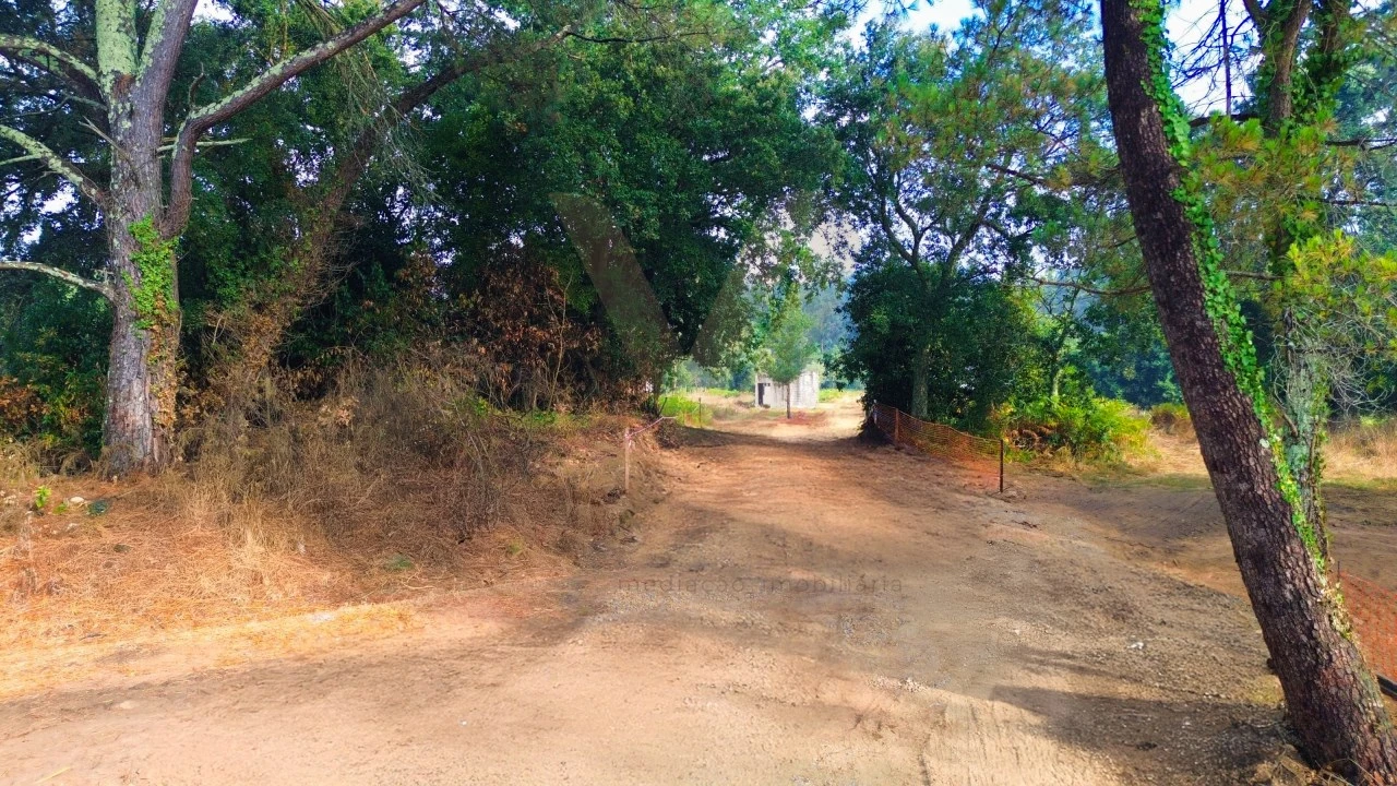 Armazém para Venda em Fontão Foto 10