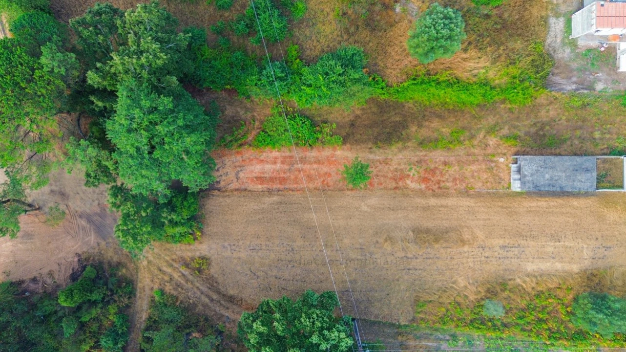 Armazém para Venda em Fontão Foto 8