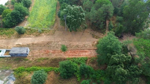 Armazém para Venda em Fontão
