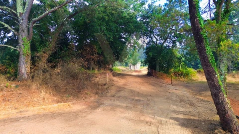 Armazém para Venda em Fontão