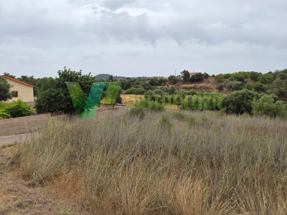 Terreno Agricola ou Rústico para Venda em São Bartolomeu de Messines Foto 2