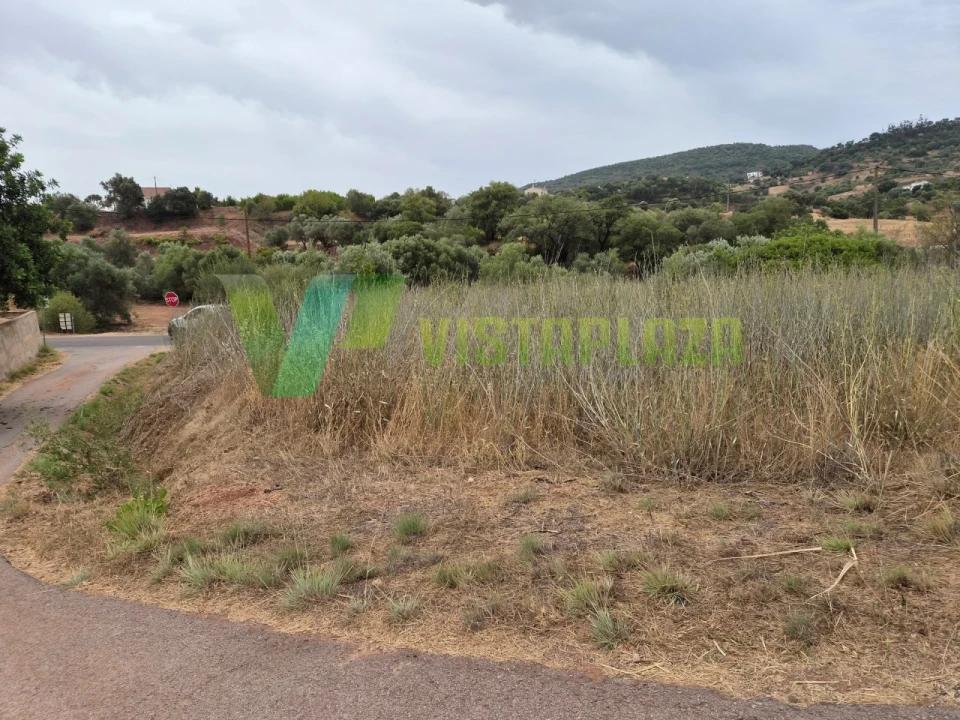 Terreno Agricola ou Rústico para Venda em São Bartolomeu de Messines Foto 5