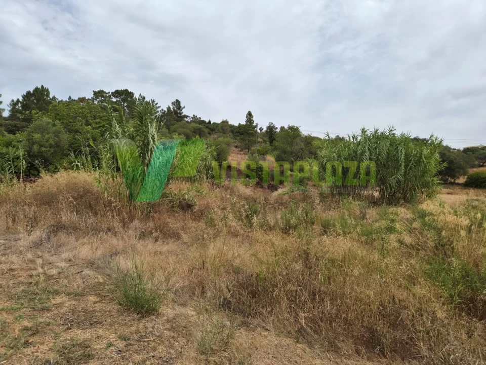 Terreno Agricola ou Rústico para Venda em São Bartolomeu de Messines Foto 7