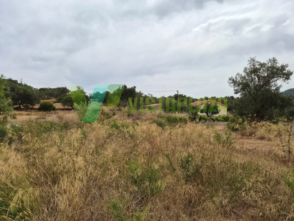 Terreno Agricola ou Rústico para Venda em São Bartolomeu de Messines Foto 1