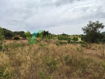 Terreno Agricola ou Rústico para Venda em São Bartolomeu de Messines
