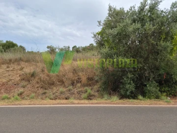 Terreno Agricola ou Rústico para Venda em São Bartolomeu de Messines