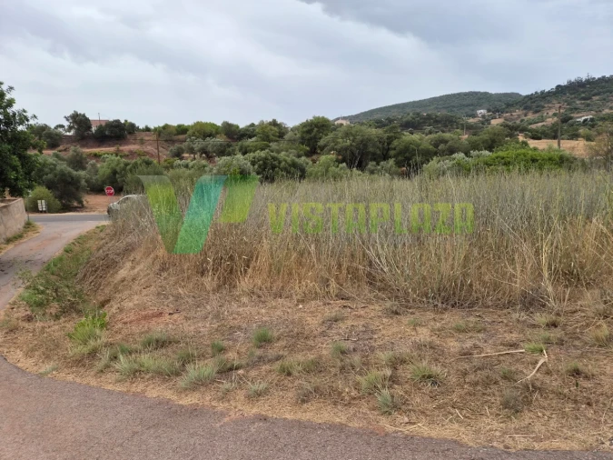Terreno Agricola ou Rústico para Venda em São Bartolomeu de Messines Foto 5