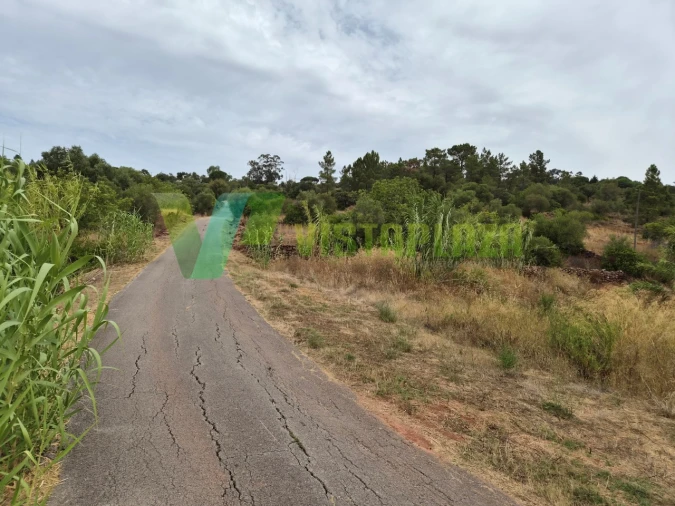 Terreno Agricola ou Rústico para Venda em São Bartolomeu de Messines Foto 6