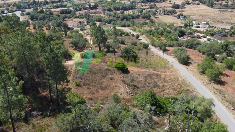Terreno Agricola ou Rústico para Venda em São Bartolomeu de Messines Foto 11
