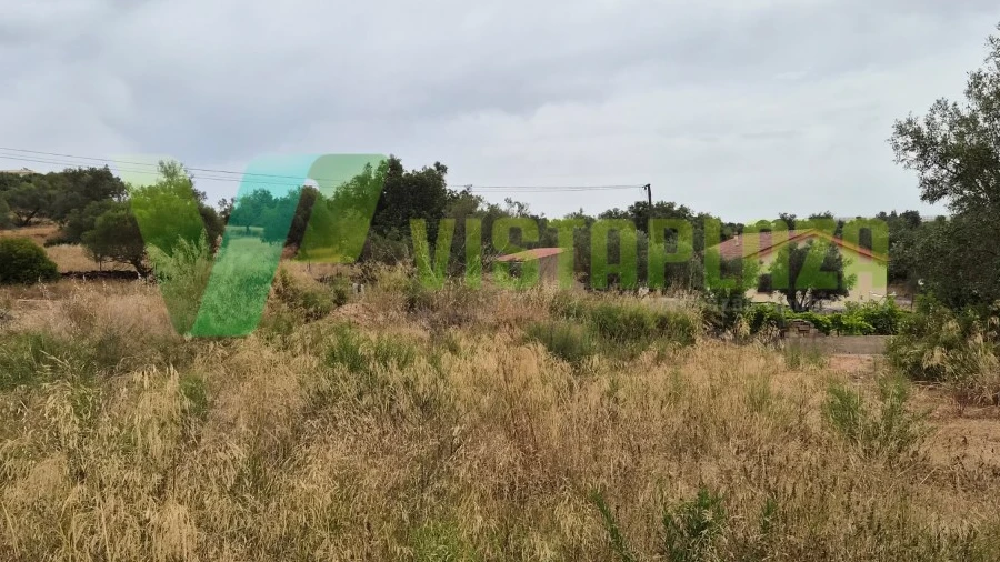 Terreno Agricola ou Rústico para Venda em São Bartolomeu de Messines