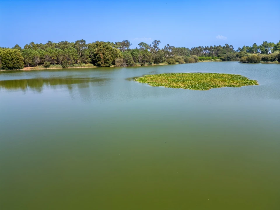 Moradia T4 para Venda em Pataias e Martingança Foto 30