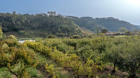 Terreno para Venda em Vimeiro