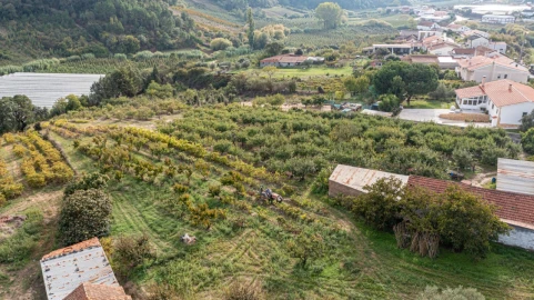 Terreno para Venda em Vimeiro
