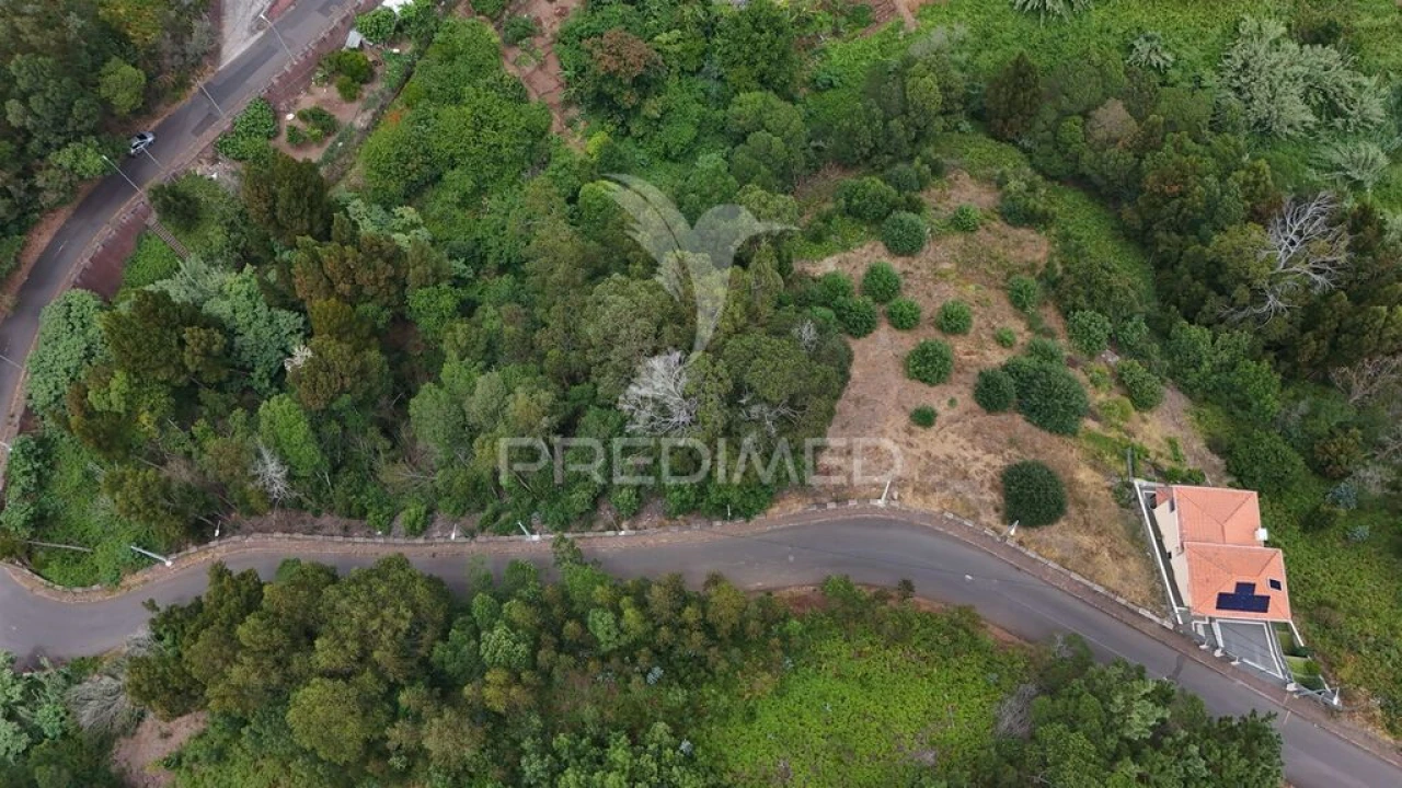 Terreno para Venda em Santa Cruz Foto 3